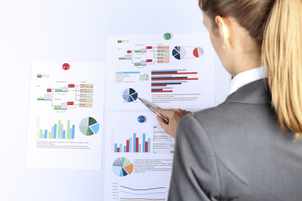 The young businesswoman showing graphs by pen. Presentation